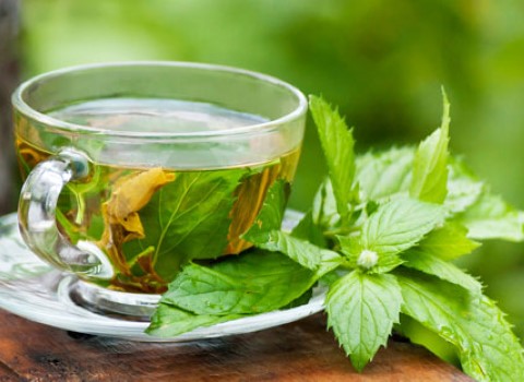 تصویر 1 از قیمت خرید عرق نعنا ارگانیک + فروش ویژه